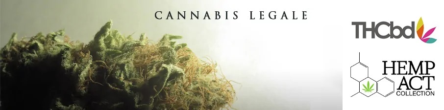 Cannabis legale