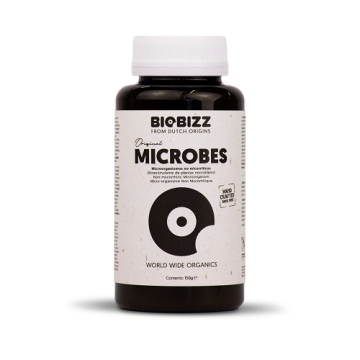 microbes biobizz