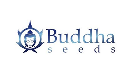 buddha seeds bank