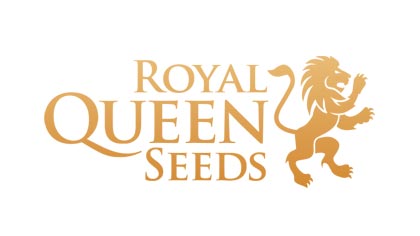 royal queen seeds auto