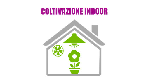 Coltivazione indoor